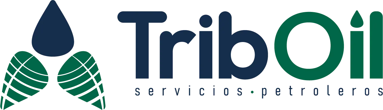 Imagotipo opciones_Logo Triboil Color